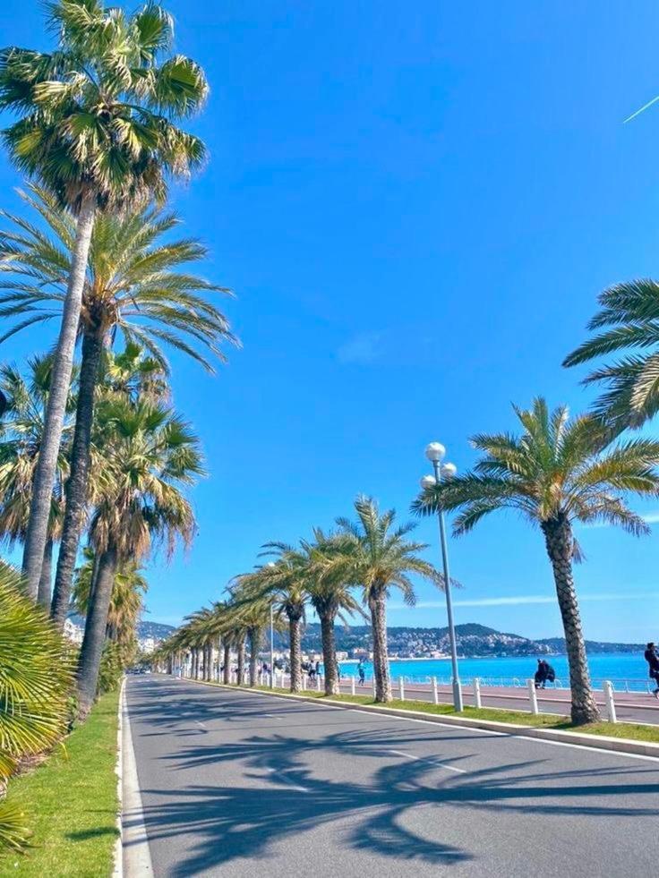 Suite Chic & Cosy, Hyper Centre, Proximite Plage, Nice Centre Exteriér fotografie